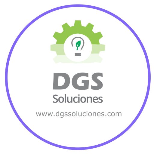 DGS Soluciones Bolivia